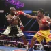 Mayweather vs. Pacquiao 2, programmé le 26 septembre
